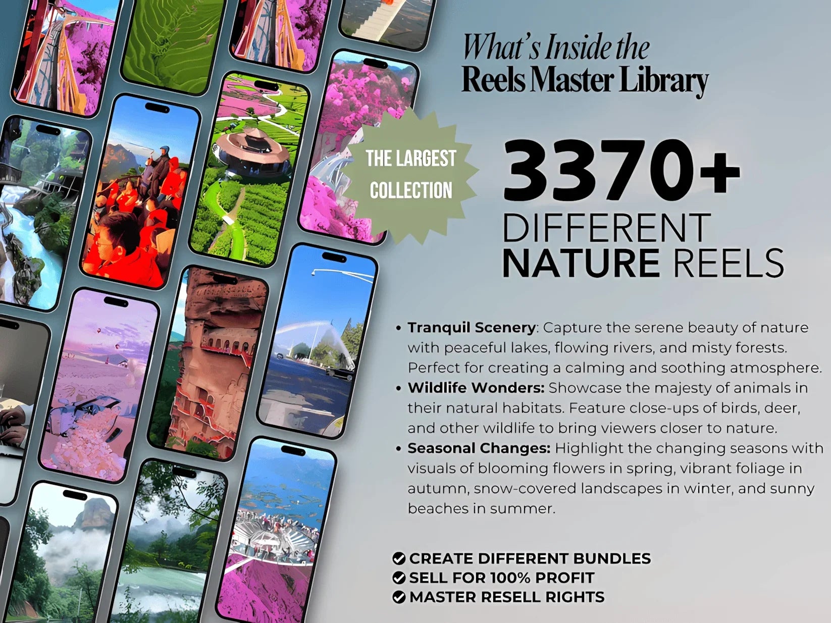 100,000+ Reels Master Library | Viral Instagram Reels, TikTok & YouTube Canva Templates - Mindshift Masterz